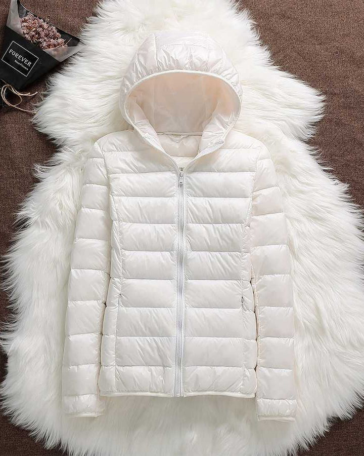 North - Neue wasserdichte Jacke